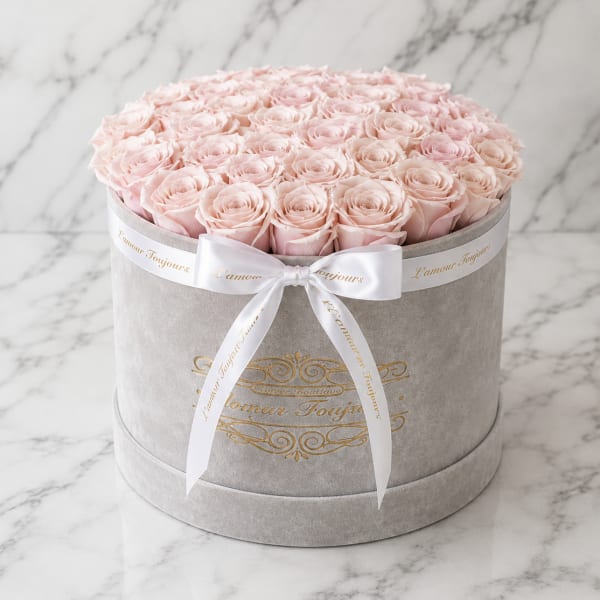 Round box of pale pink roses tied with a white ribbon
