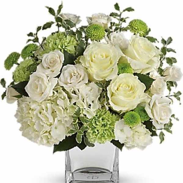 White roses and green pompons in a clear square vase