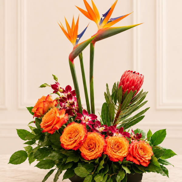 Tropical