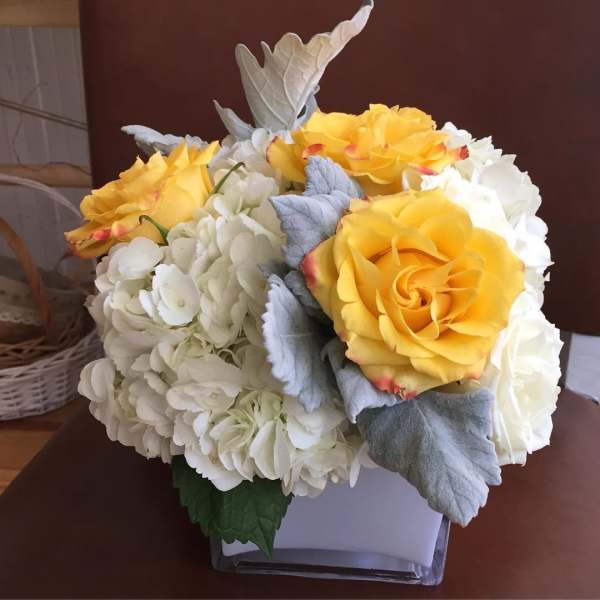 Yellow roses and white hydrangeas in a square vase with silver foliage