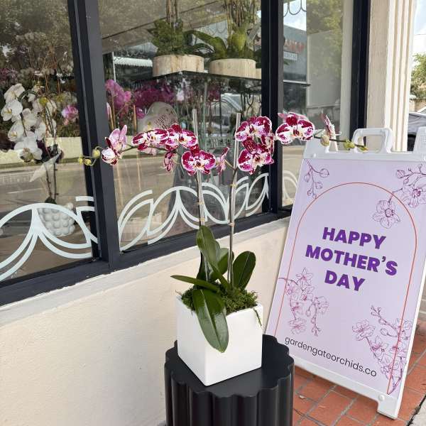 Mother's Day Special #2