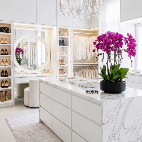 Potted purple orchids in a black planter on a marble counter