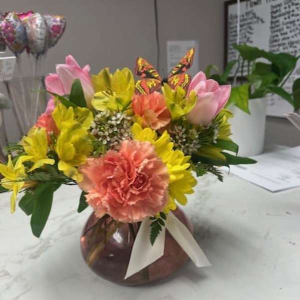 All things alstro, carns & tulips!
