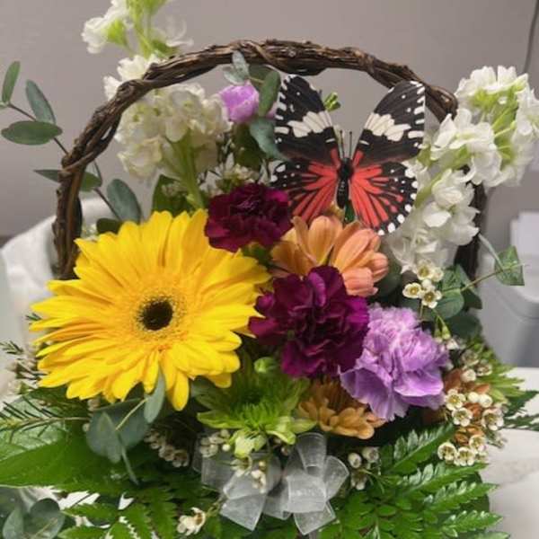 Butterfly gerbera basket