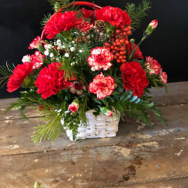 Red carnations arranged in a white basket with pine accents