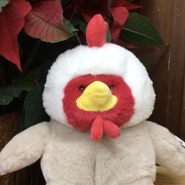Plush chicken toy with red, white, and yellow features
