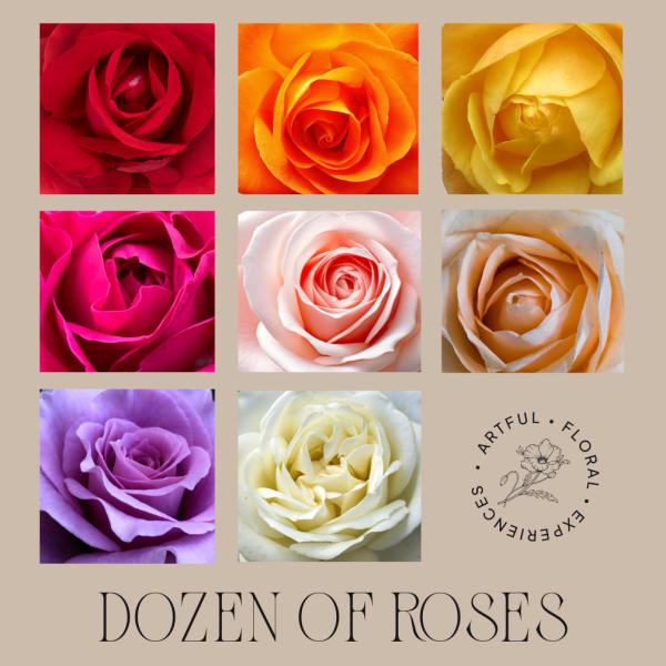 Collage of close-up rose blooms in assorted colors on a tan background