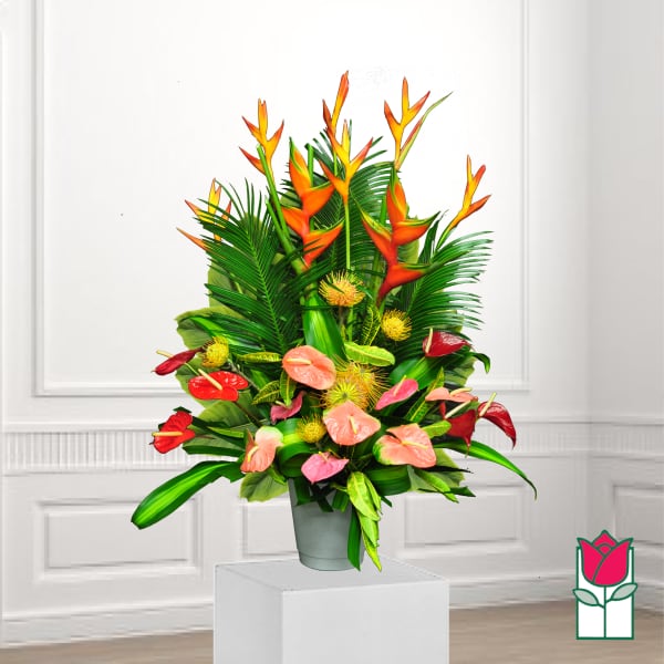 Tropical arrangement with orange heliconia and pink anthuriums in a gray pot