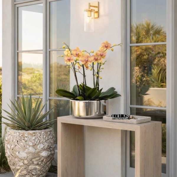 Potted orchid arrangement in a silver planter beside a console table