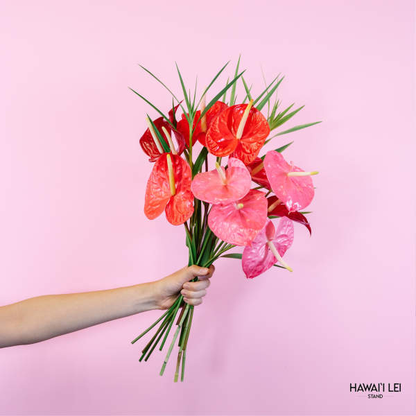Handheld bouquet of pink and red anthuriums against a pink background