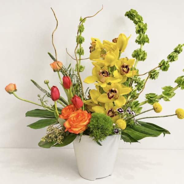 Wild Orchid