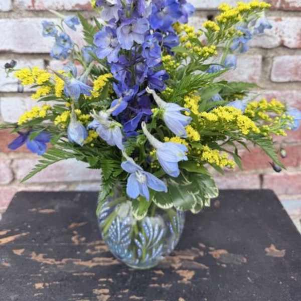 Delphinium Daze