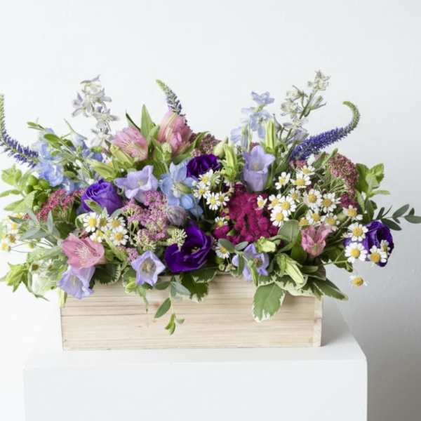 Wildflower love