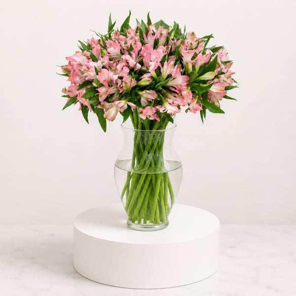 Pink Alstroemeria In Vase