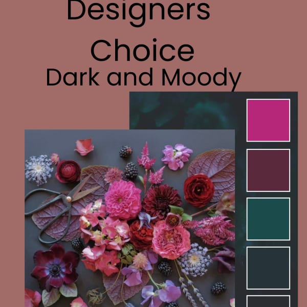 Designers Choice