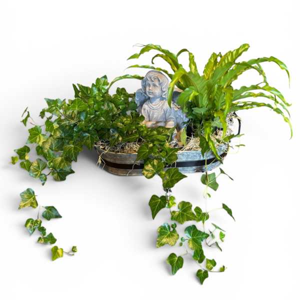 Potted ivy and fern arrangement with a small angel statue