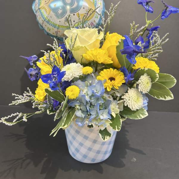 Baby Boy Blooms