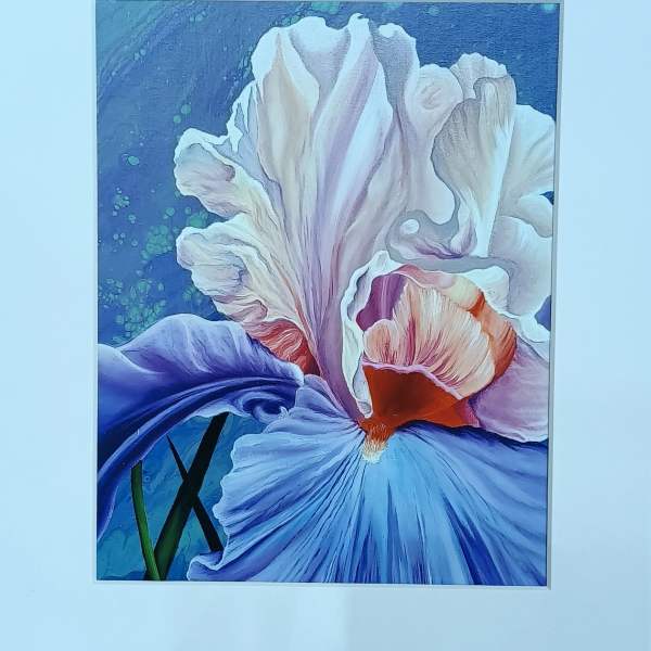 Framed painting of a large iris flower in blue and white tones