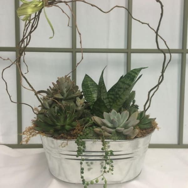 Succulent arrangement in a silver metal container with a twig heart frame