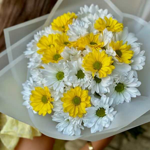 Bouquet of yellow and white daisies wrapped in pale paper