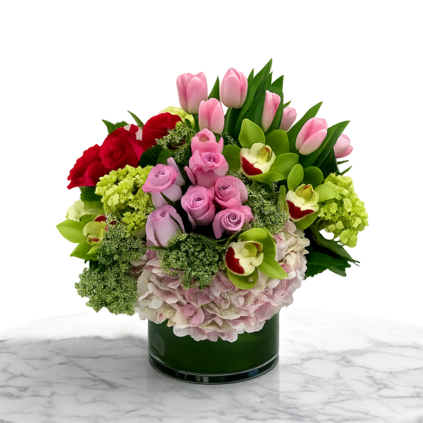 The Blooming Tulips.