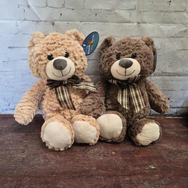 Teddy