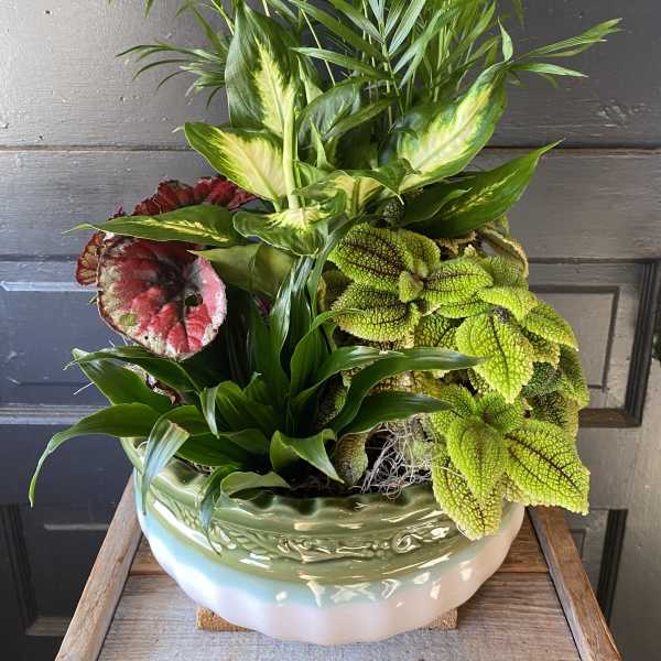 Mixed tropical foliage arrangement in a ceramic bowl