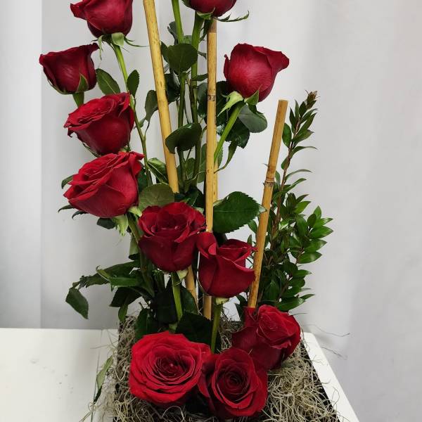 Tall arrangement of red roses in a black tray with bamboo stakes