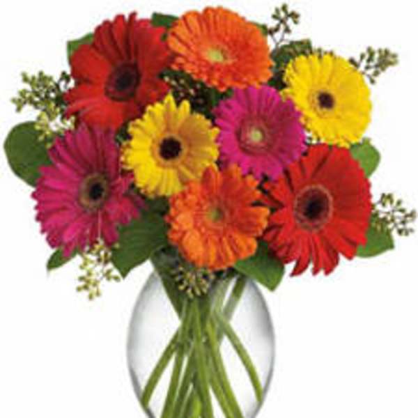 Colorful gerbera daisy bouquet in a clear glass vase
