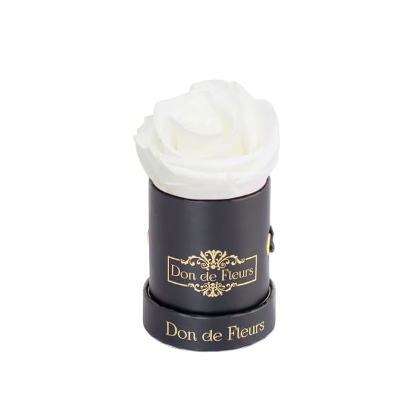 Mini Black Round Preserved Rose-White