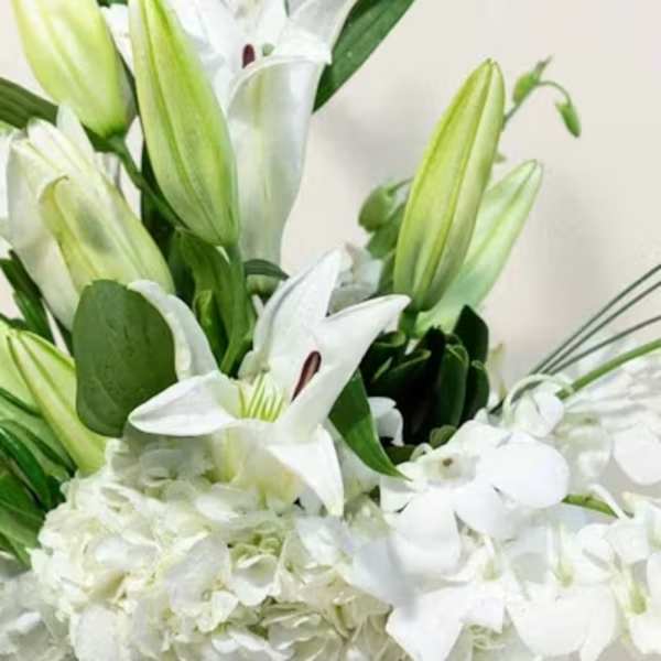Designer's Choice Compat White