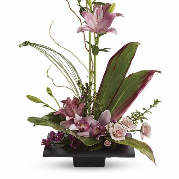 Elegance In Bloom