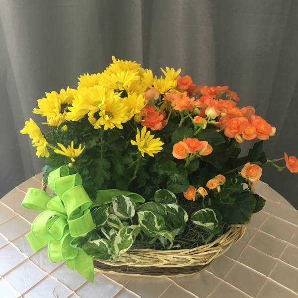 Basket of yellow and orange flowers with a bright green ribbon