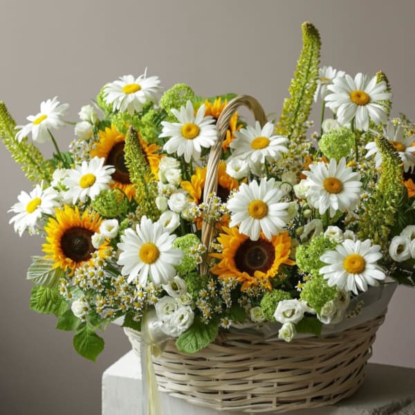 Basket arrangement of sunflowers, white daisies, and green blooms