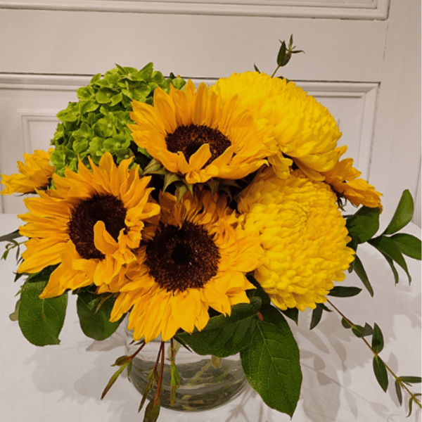 Short arrangement of sunflowers, yellow mums, and green hydrangea in a clear glass vase