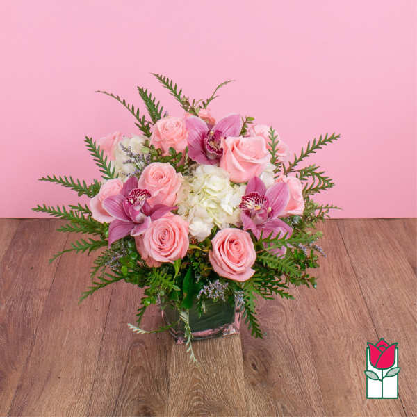 Beretania's Compact Bouquet (Bubblegum)