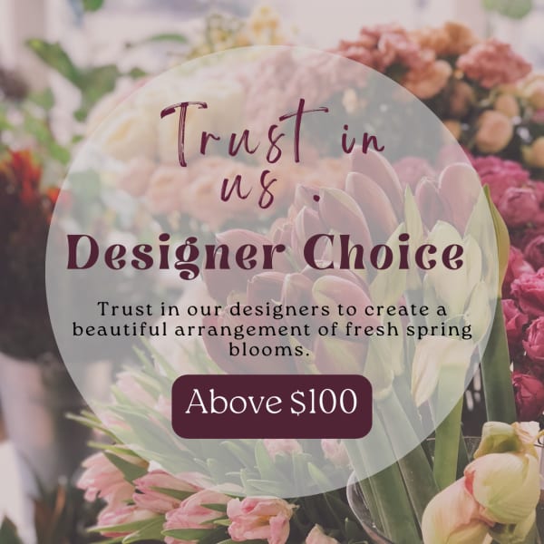 Premium Designer Choice