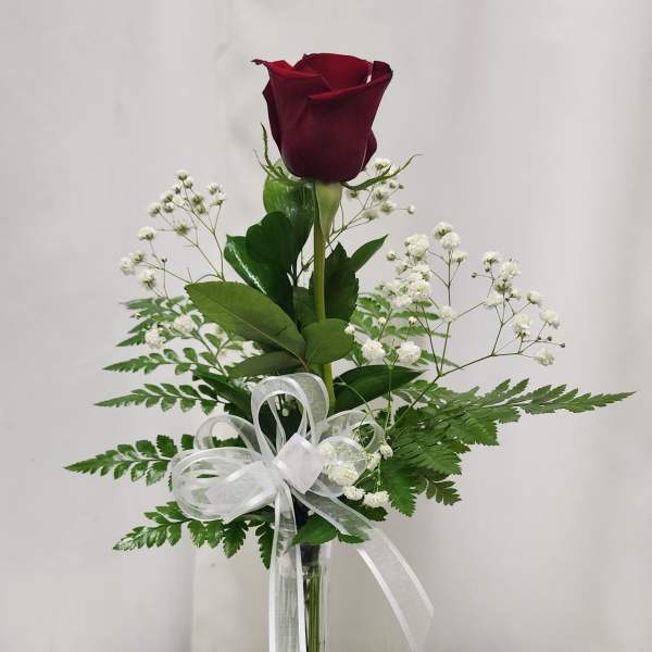 Single red rose in a clear glass vase with white ribbon and baby's breath