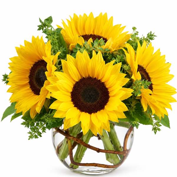 Bouquet of yellow sunflowers in a clear glass vase