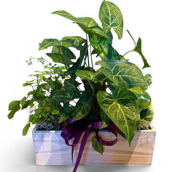 Wooden Window Planter