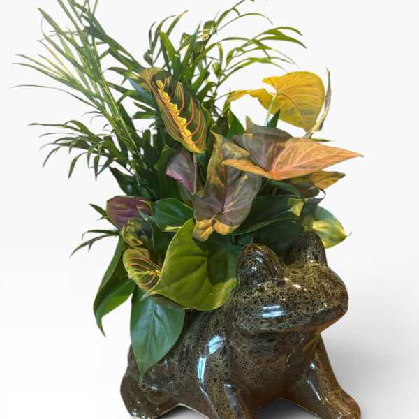 Froggie Planter