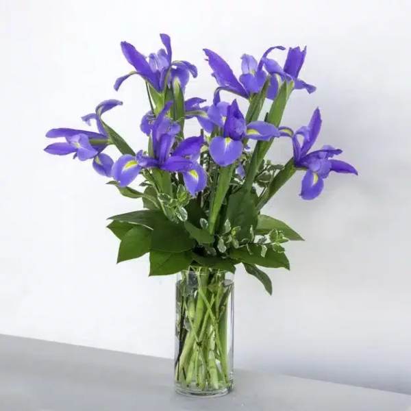 Blooming Iris Bouquet
