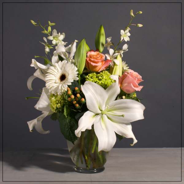 Coral and Cream