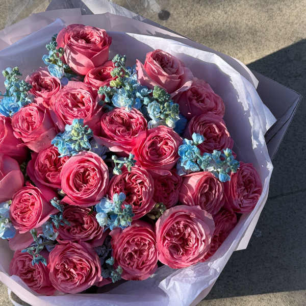 Blue Crush