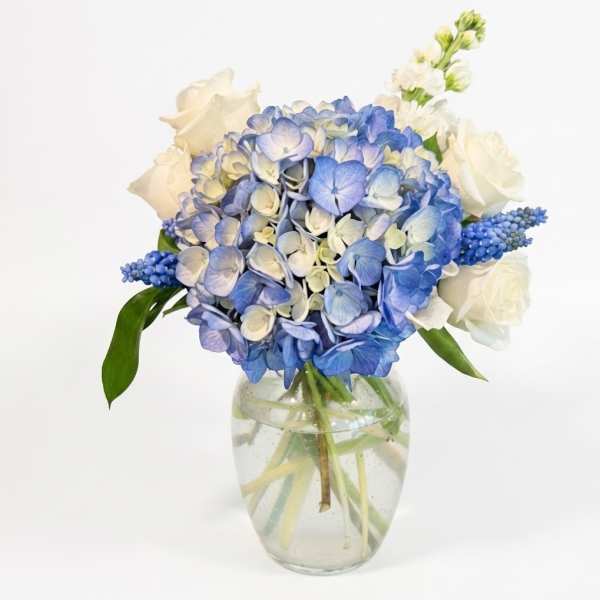 Blue and white hydrangea bouquet in a clear glass vase