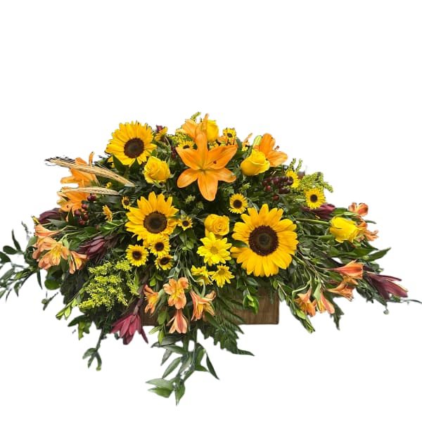 Sunflower Sentiment