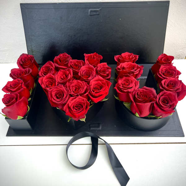 Red roses arranged in a black presentation box with a ribbon