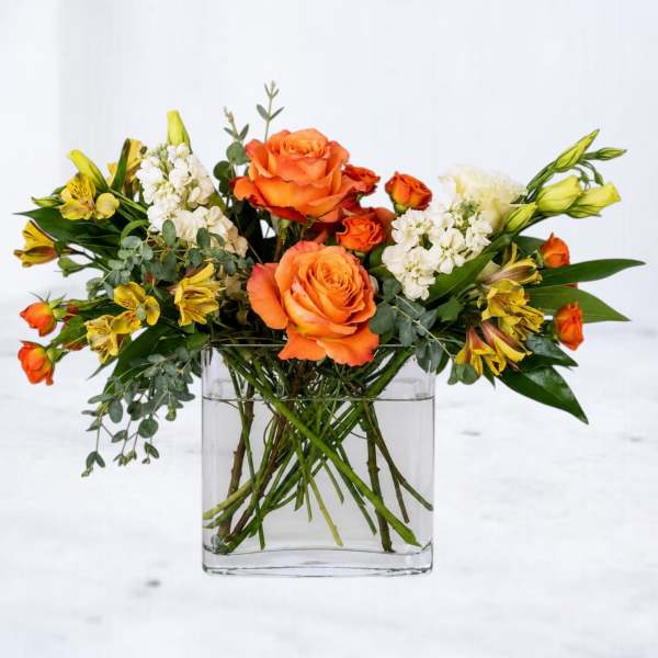 Marmalade