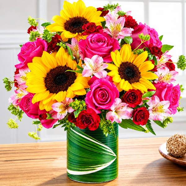 Sun Kissed Romance