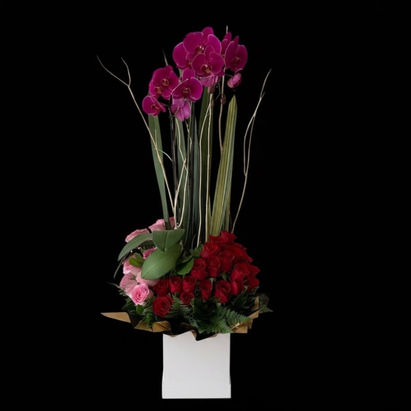 You are everything in the world